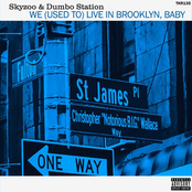 We (Used to) Live in Brooklyn, Baby