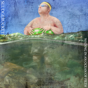 Wading in an Ocean of Filth