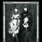 elm-エルム-