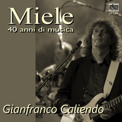 Miele, 40 anni di musica