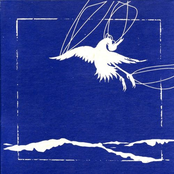 Low Cloud Means Death