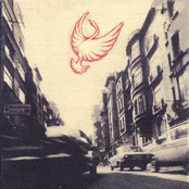 Çook Alametler Belirdi: Mozaik Külliyat 1983-1995