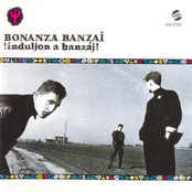 Coming Around by Bonanza Banzai