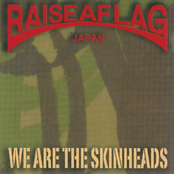 WE ARE THE SKINHEADS