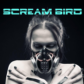 Scream Bird