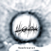 Misanthropic: Soulreaver