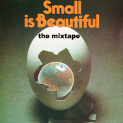 the small is beautiful mixtape Vol. 1