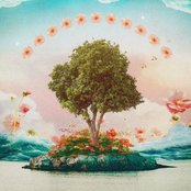 Lilla Kvarnö - Single