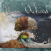 Moon Orchard