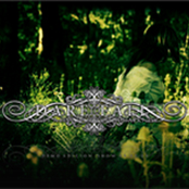 This way to remember