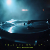 Shadows on Vinyl