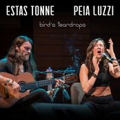 Estas Tonne: Bird's Teardrops