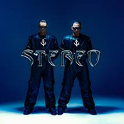 Stereo