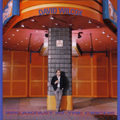 Layin' Pipe by David Wilcox