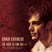 Ramin Karimloo: The Road to Find Out: South