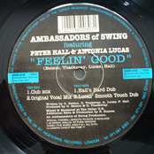 Ambassadors of Swing: Feelin' Good