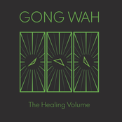 The Healing Volume