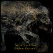 Sewer Ghoul Flesh / Elephant Graveyard