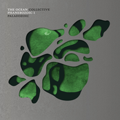 The Ocean Collective: Phanerozoic I: Palaeozoic
