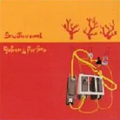 Guitarra de pau seco