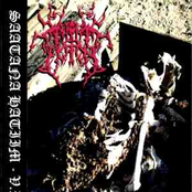 Véampyreik Ritualméz