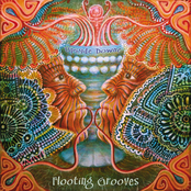 Birds by Flooting Grooves