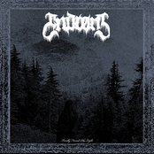 Finally Found the Light