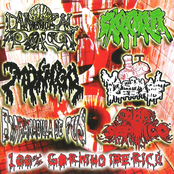 100% Gorrino Iberico (6-Ways Split)