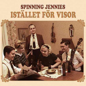 Istället för visor