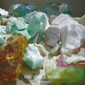 l'Orbitale