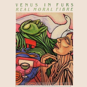 Love Lies by Venus In Furs