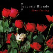 The Beast by Concrete Blonde