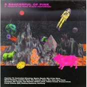 A Saucerful Of Pink - A Tribute To Pink Floyd