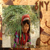 Hypothesis of ancestry