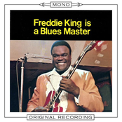 Hot Tomato by Freddie King