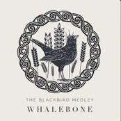 The Blackbird Medley
