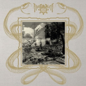 ...und es bleibt nur Aas