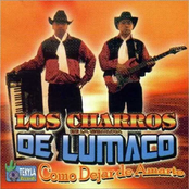 Como Dejar De Amarte
