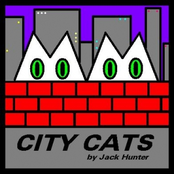 City Cats