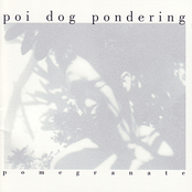 Poi Dog Pondering: Pomegranate