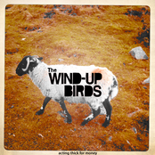 Acting Thick for Money