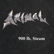 Never by Animal