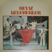 beyaz kelebekler