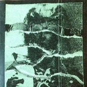 Pleasure Island / Scant split