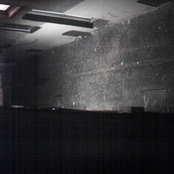 A Step By Step Guide to Immortality