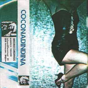 Coconadindina
