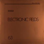 Electonic Fields