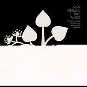 New German Ethnic Music: Immigrant's Songs from Germany Electronically Reworked