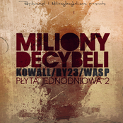 Płyta Jednodniowa 2