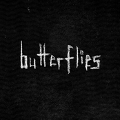 Wunderhorse: Butterflies